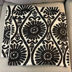 Two 20x20 Pottery Barn Pillow Covers